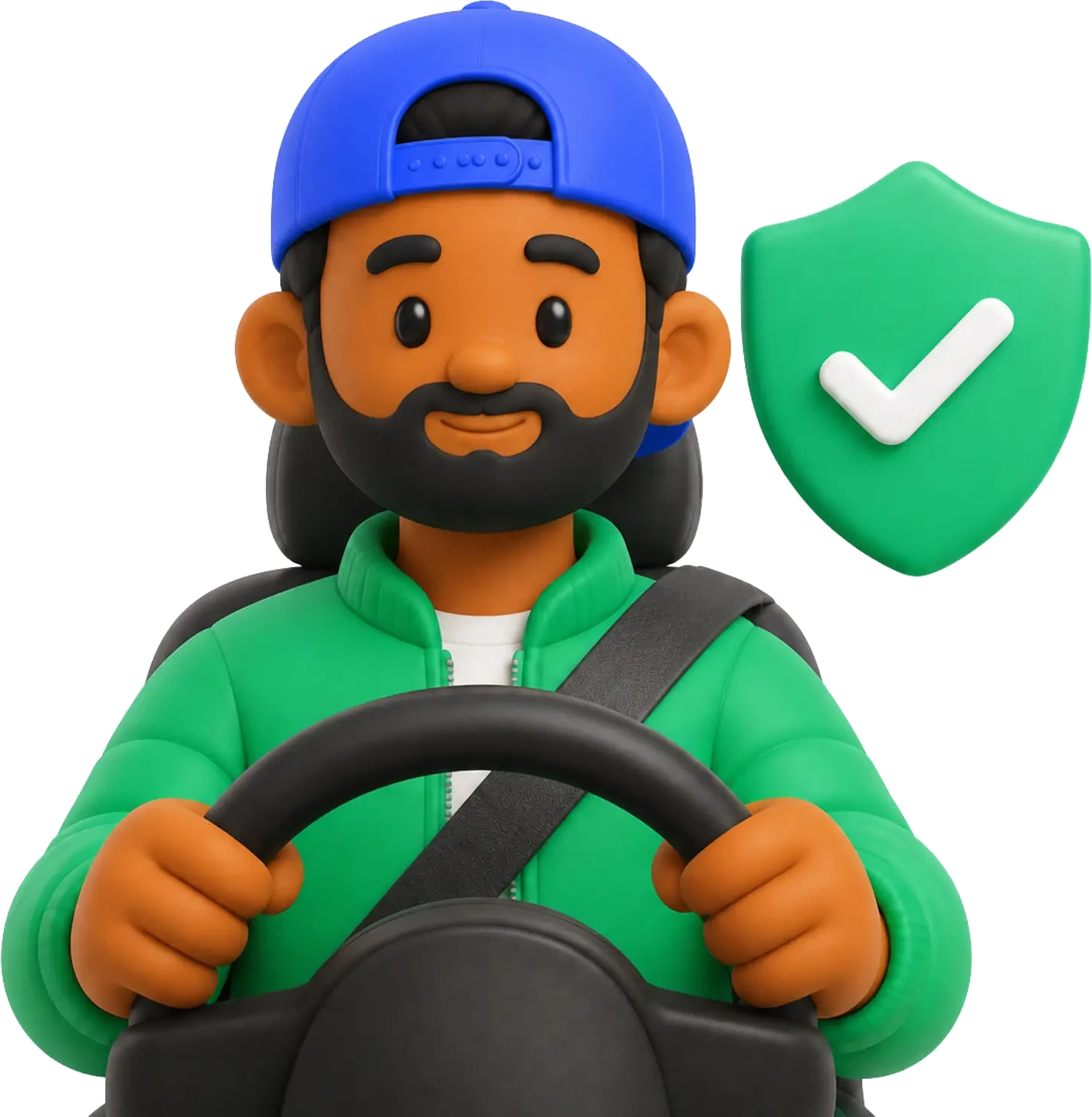 Piloto verificado de Rider